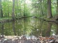 fowlers hollow.Laural run 06-09-14 080